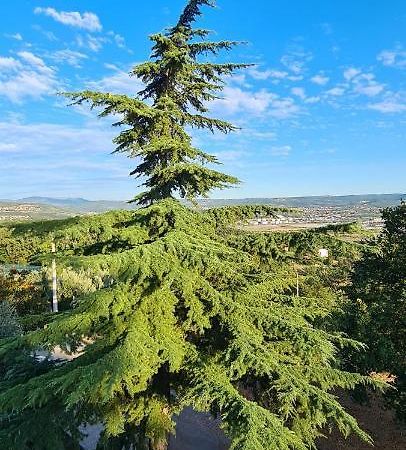 Apartment Sunny View Анкаран Экстерьер фото