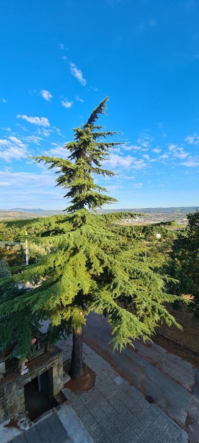 Apartment Sunny View Анкаран Экстерьер фото